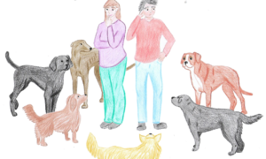 Beitragsbild/Artikelbild, zu "Welcher Hund passt zu mir?". Es ist eine Zeichnung und zeigt eine Frau und einen Mann inmitten mehrerer unterschiedlicher Hunde.