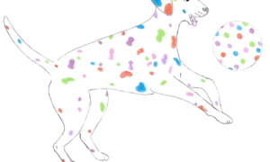 Beitragsbild/Artikelbild, zu "Die sportlichsten Hunderassen". Es ist eine Zeichnung und zeigt einen bunten Dalmatiner mit Ball.