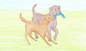 Beitragsbild/Artikelbild, zu "Die 5 größten Hundemythen - Hunde unter sich". Es ist eine Zeichnung und zeigt zwei spielende Hunde.