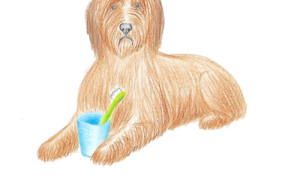 Beitragsbild zum Artikel "Die 5 größten Hundemythen - Gesundheit". Es zeigt einen liegenden Hund mit Zahnputzbecher und Zahnbürste zwischen den Pfoten.