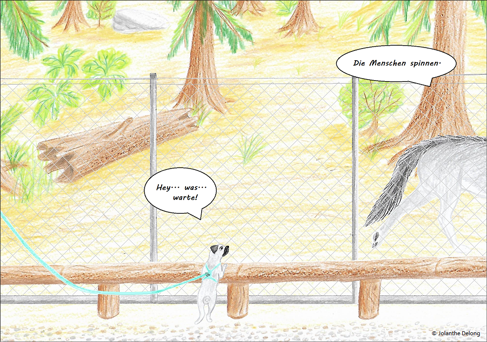 Comic-Bild Nr. 4 zum Comic Nr. 2 „Von Wölfen und Hunden“. Es ist eine Zeichnung und zeigt einen Wolf im Gehege und einen Mops, der davor steht. Urheberin: Jolanthe Delong