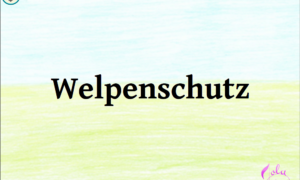 Titelbild zum Comic Nr. 11 "Welpenschutz".