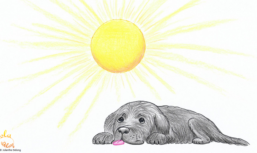 Mit Pelz in die Sonne